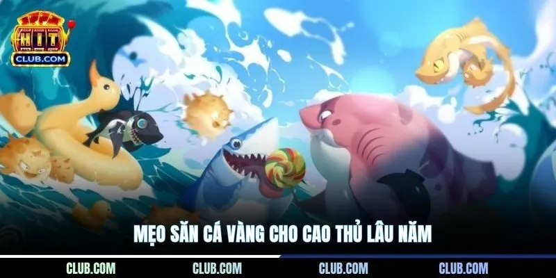 Mẹo săn cá Vàng cho cao thủ lâu năm